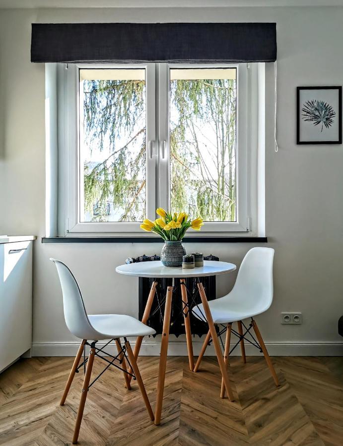 Przytulny Apartament Przy Sokolskiej - 550 Metrow Od Spodka Katowice Bagian luar foto